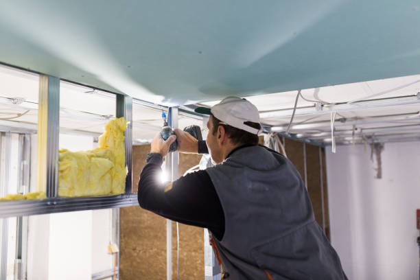 Best Fiberglass Insulation in Hale Center, TX