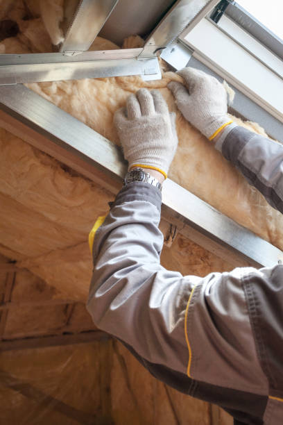 Best Specialized Insulation Services in Hale Center, TX