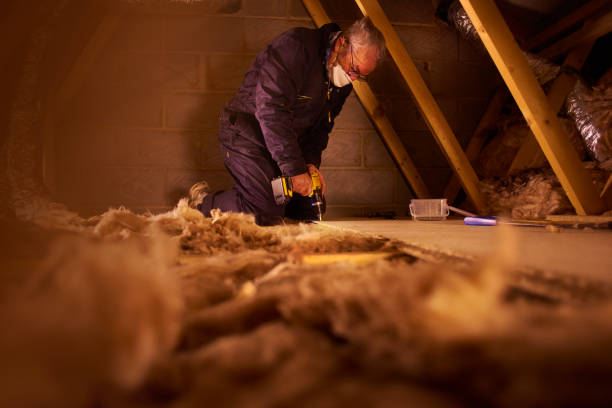 Best Insulation Maintenance and Repair in Hale Center, TX